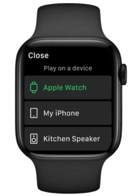 Play Spotify on Apple Watch Directly without phone