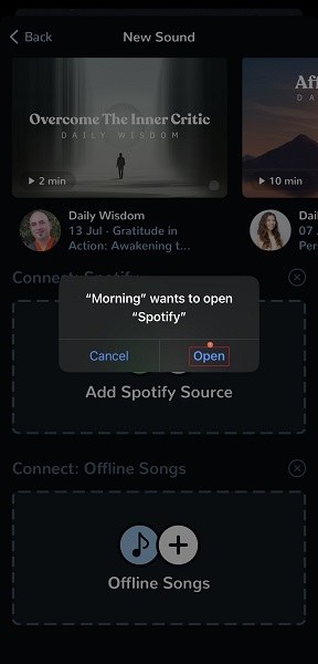 Confirm to open Spotify