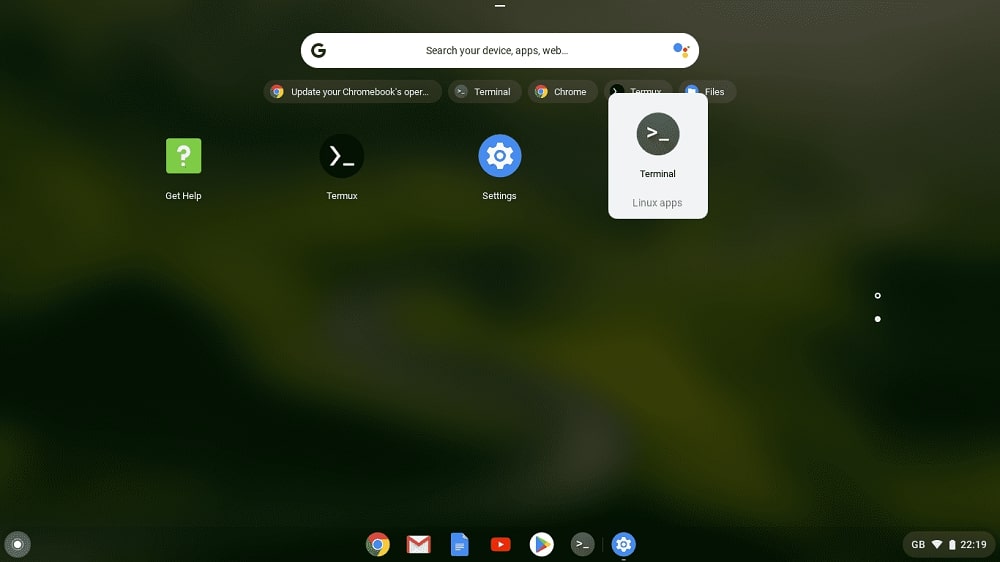 linux apps terminal on Chromebook