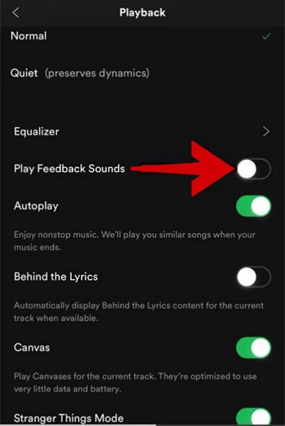 Enable play feedback sounds option on Spotify