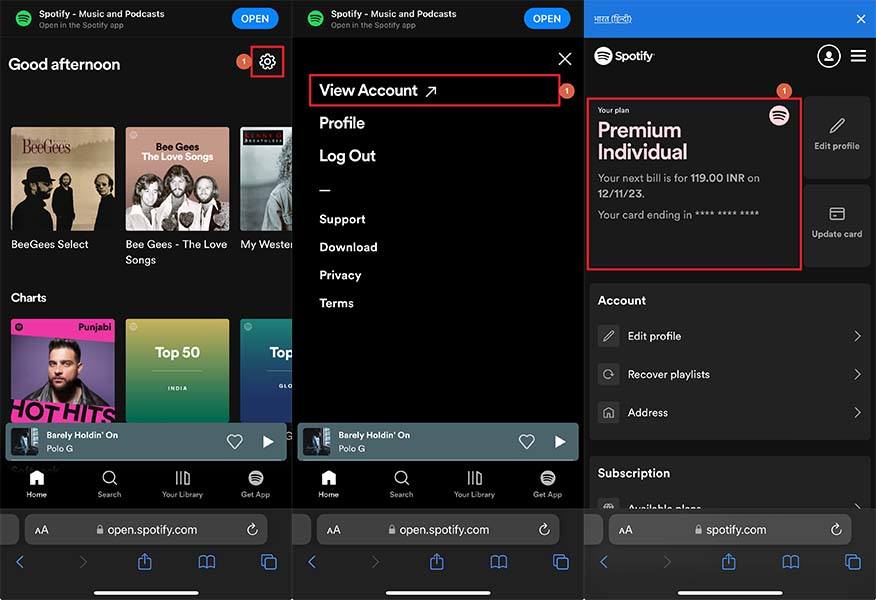 Manage your plan Page on Spotify iPhone